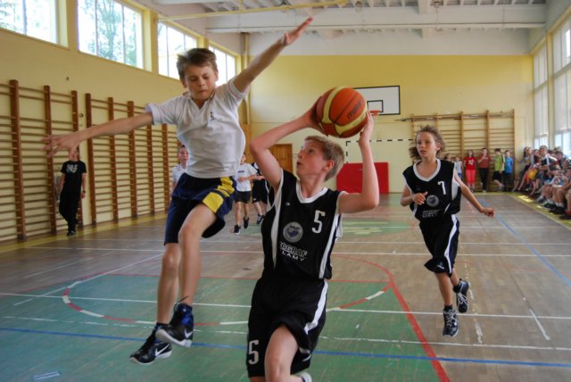 fotokarolwiduchklvic12.jpg