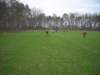 dscn6731_small.jpg