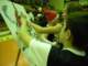 dscn6134_small.jpg