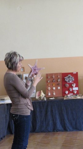 img_0347.jpg