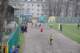 dsc_0092_small.jpg