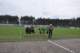 dsc_0110_small.jpg