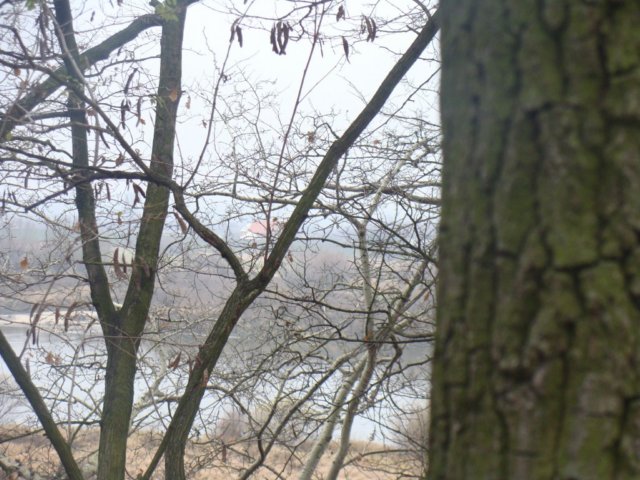 fotopatrycjawalska32.jpg