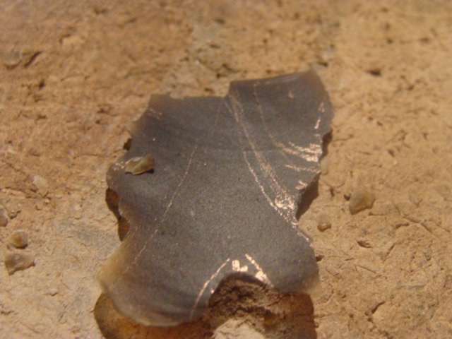 photo11.jpg