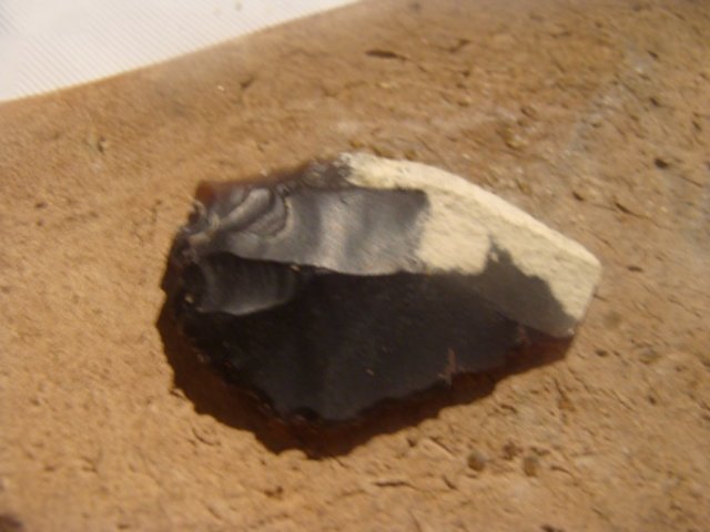 photo8.jpg