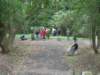 dscn6851_small.jpg