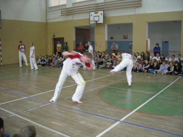 dscn6895.jpg